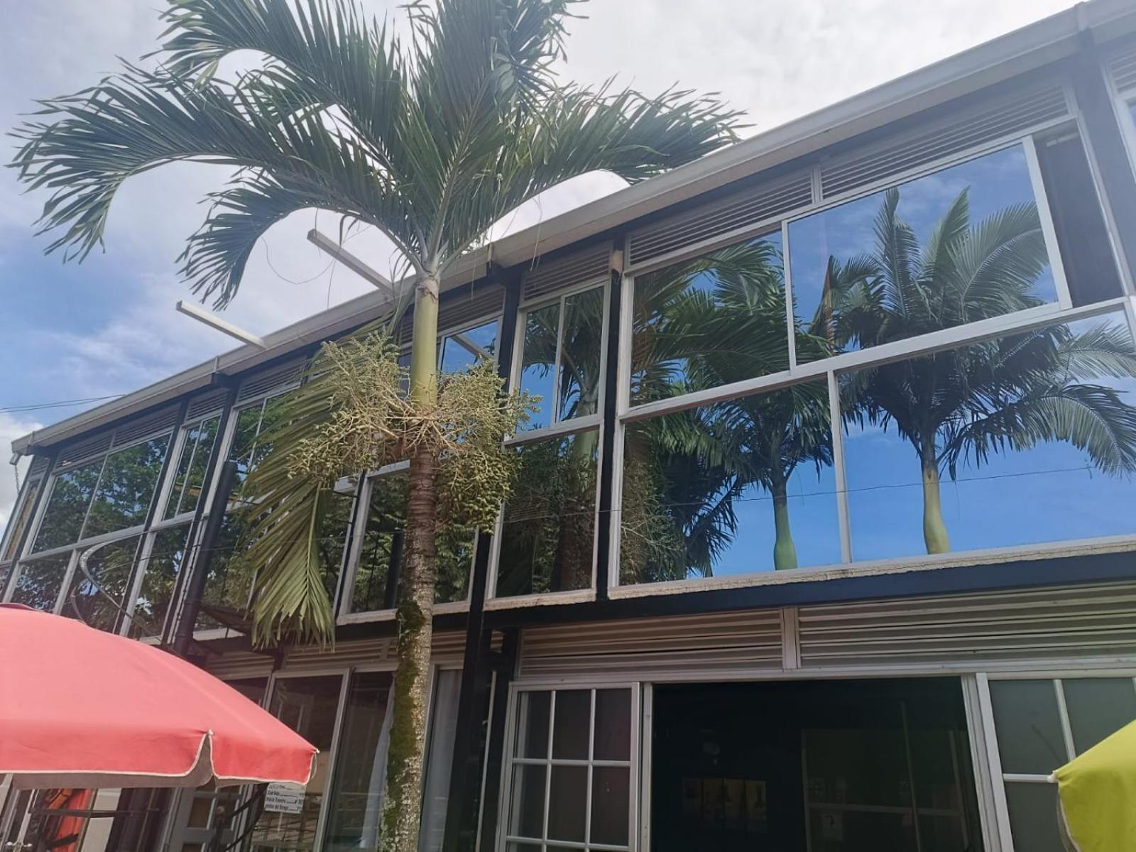 Akuarela Apartamentos Campestres Ibagué Esterno foto